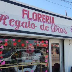 Floreria Regalo De Dios