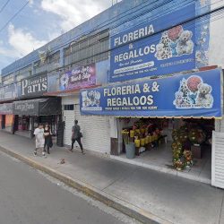 Floreria & Regalos Ave Del Paraiso