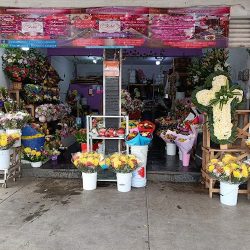 Florería & Regalos Oszart