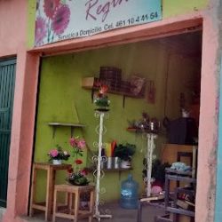 Floreria Regina