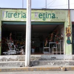 Florería Regina