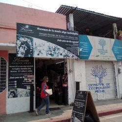Floreria Renace Amor