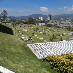 Florería Renacimiento