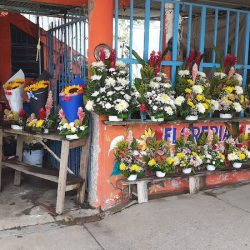 Florería "rey"