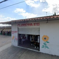 Floreria Reyes