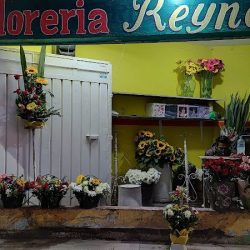 Florería Reyna