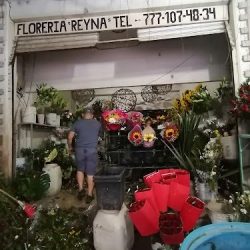 Floreria "reyna"