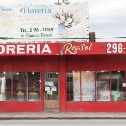 Floreria Reysol