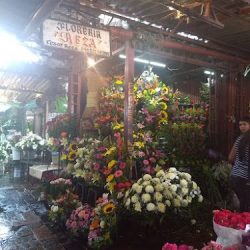 Florería Reza