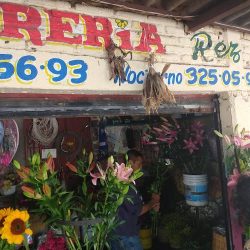 Florería Reza