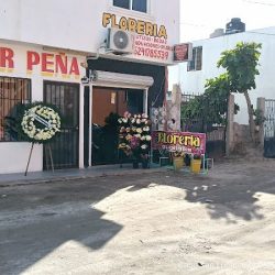 Floreria Rm