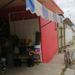 Floreria Robles