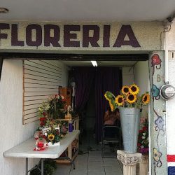 Florería Rocio