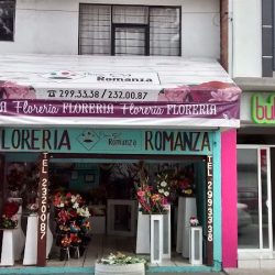 Florería Romanza