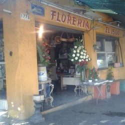 Floreria Rosa