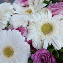 Florería Rosa Aurora