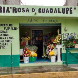 Floreria Rosa De Guadalupe