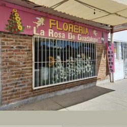 Floreria Rosa De Guadalupe