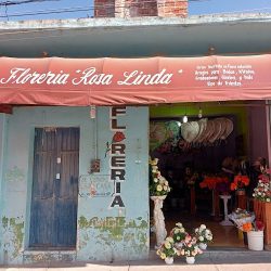 Florería Rosa Linda