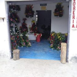 Floreria Rosa Real