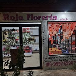 Florería Rosa Roja