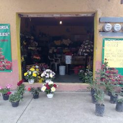 Floreria Rosales