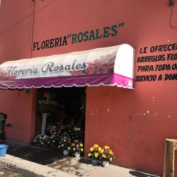 Florería Rosales