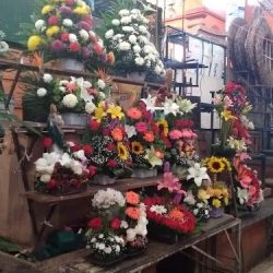 Florería Rosalinda Interior Mercado Morelos