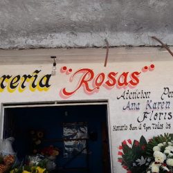 Floreria Rosas