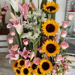 Floreria Rosas Blancas