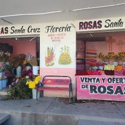 Florería Rosas Santa Cruz