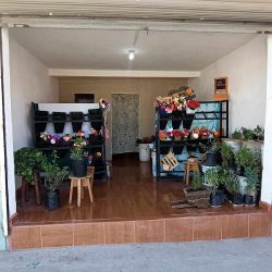 Florería Rose Mary Tijuana