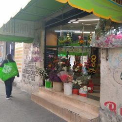 Florería Rosedal