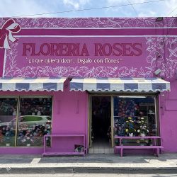 Floreria Roses