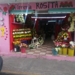 Floreria Rosita