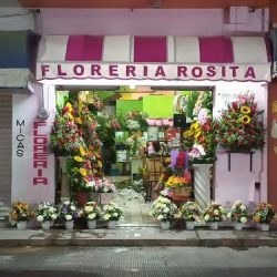 Floreria Rosita