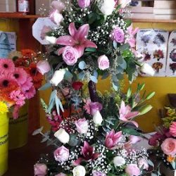 Florería Rosita
