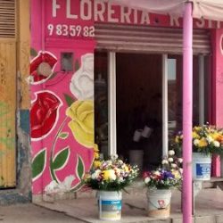 Floreria Rosita