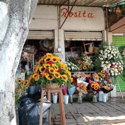 Florería Rosita