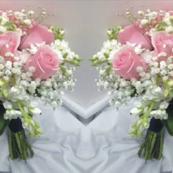 Florería Rosy