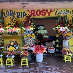 Florería Rosy