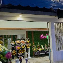 Florería Rosy