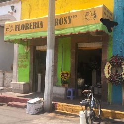 Floreria Rosy