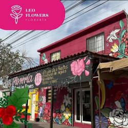 Floreria S Leo Flower ' S