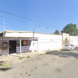 Floreria's Quali Xochitl