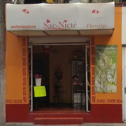 Floreria Sac Nicte