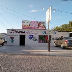 Florería Saenz