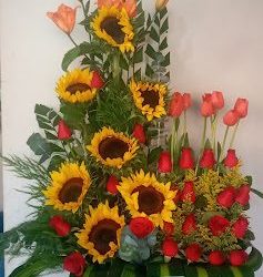Floreria Sagitario