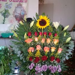 Floreria San Antonio