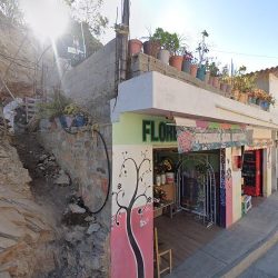 Floreria San Antonio